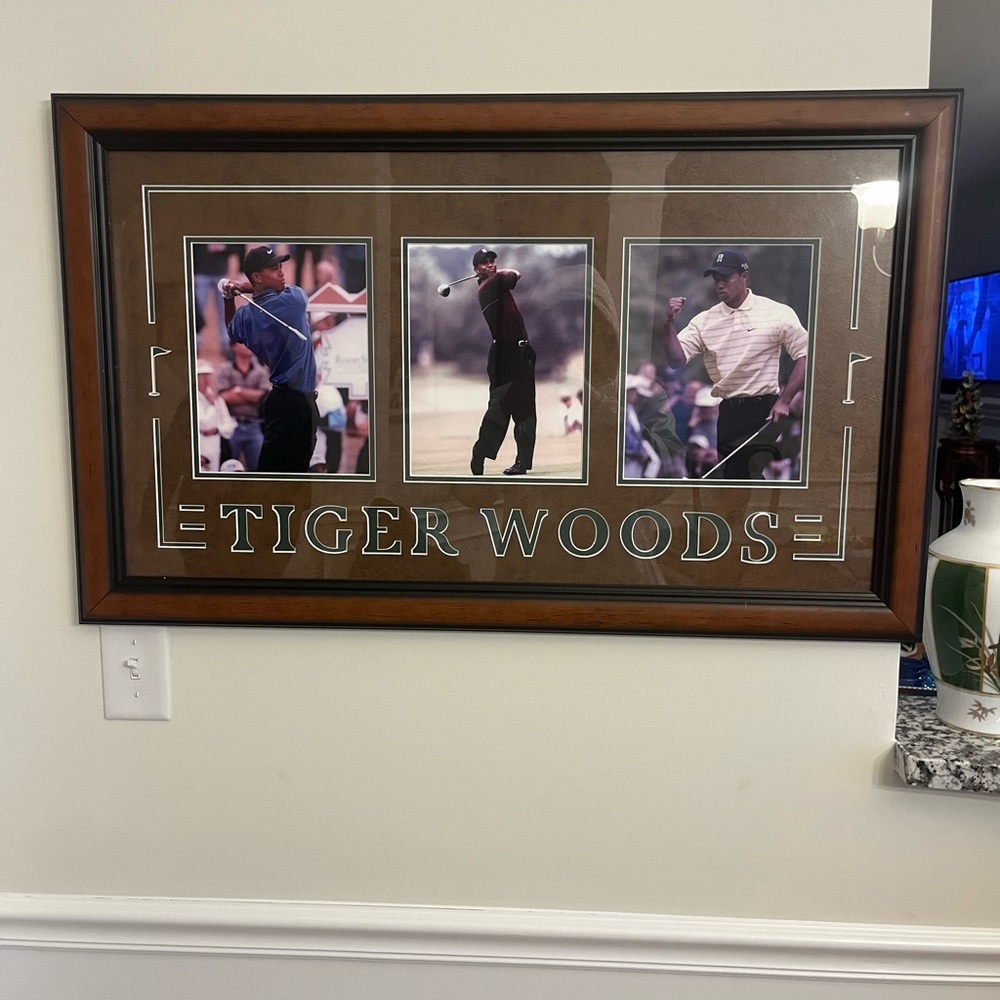 Rare tiger woods framed original photograph 35x 20 3/4